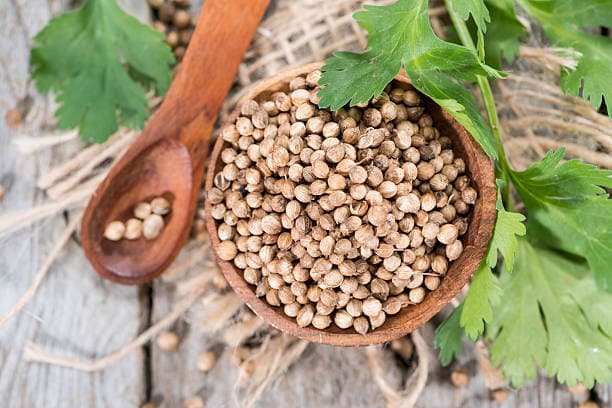 تصویر 3 از قیمت تخم گشنیز خوب با کیفیت ارزان + خرید عمده